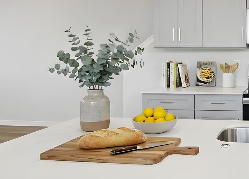 Quartz Countertops-image